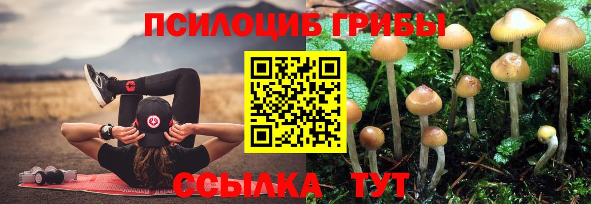 Елабуга  Псилоцибиновые грибы GOLDEN TEACHER  купить наркотики цена  Вход с VPN  Галлюциногенные грибы Cubensis 
